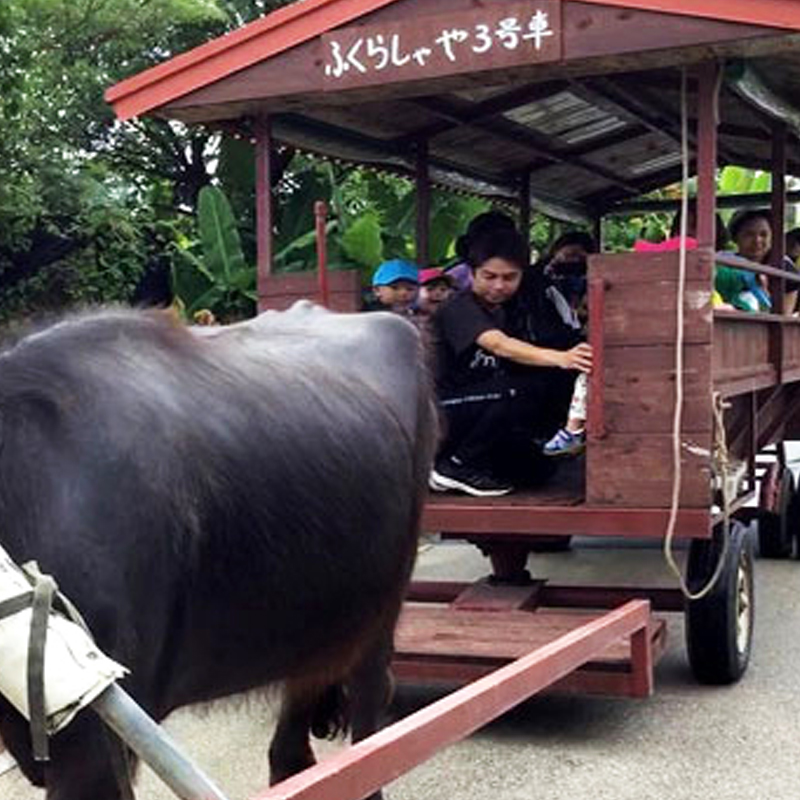 並里こども園の様子